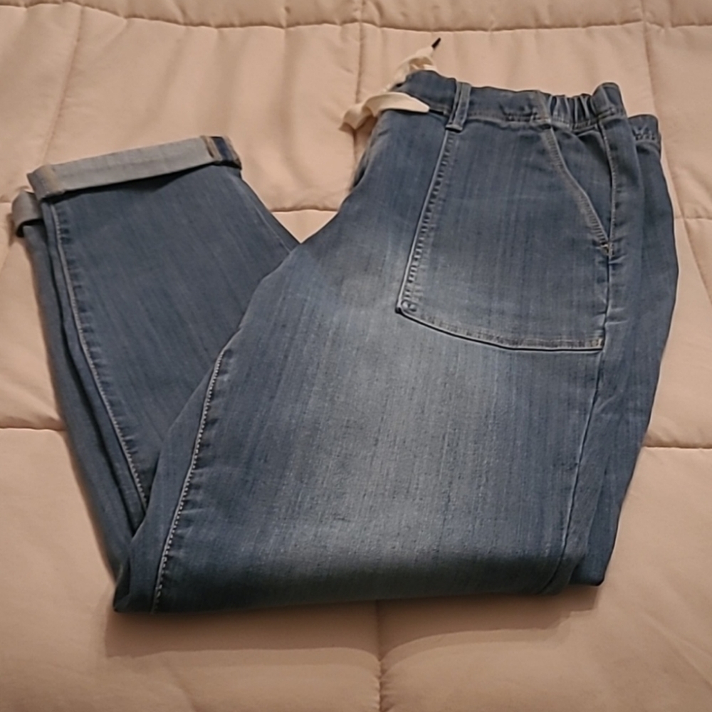 Judy Blue Denim Joggers